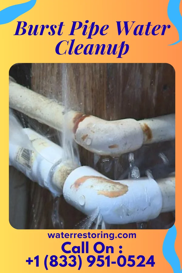 Burst Pipe Water Cleanup in Ashby, MN