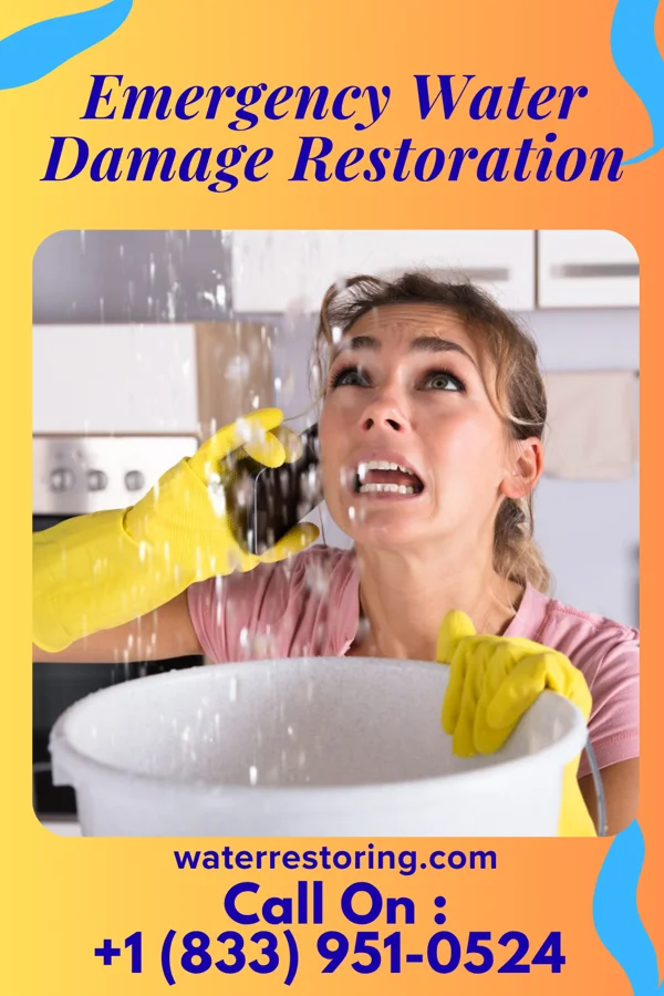 Emergency Water Damage Restoration in Ashby, MN