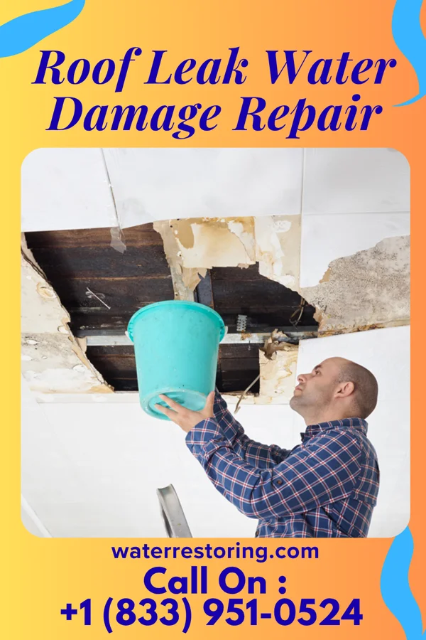 Roof Leak Water Damage Repair in Ashby, MN