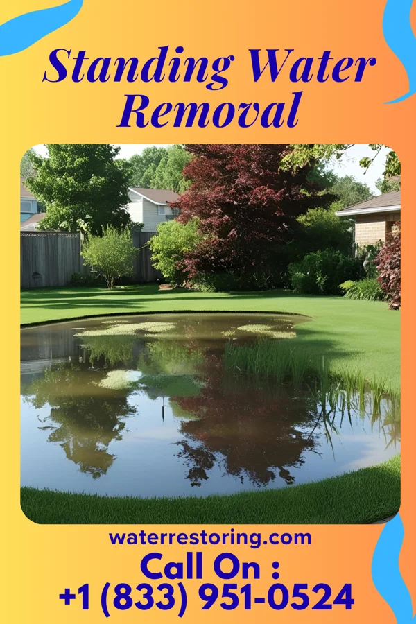 Standing Water Removal in Ashby, MN